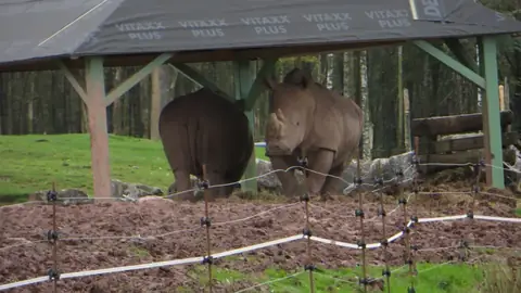 Dieren in het Monde Sauvage in Aywaille