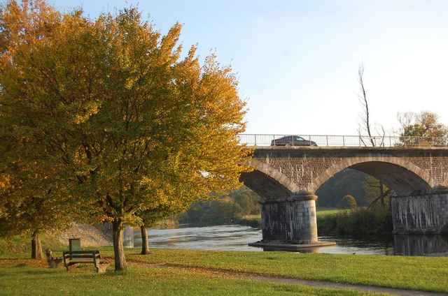 Een goudgele boom in herfstkleuren bij de oude spoorbrug over de Ourthe in Noiseux
