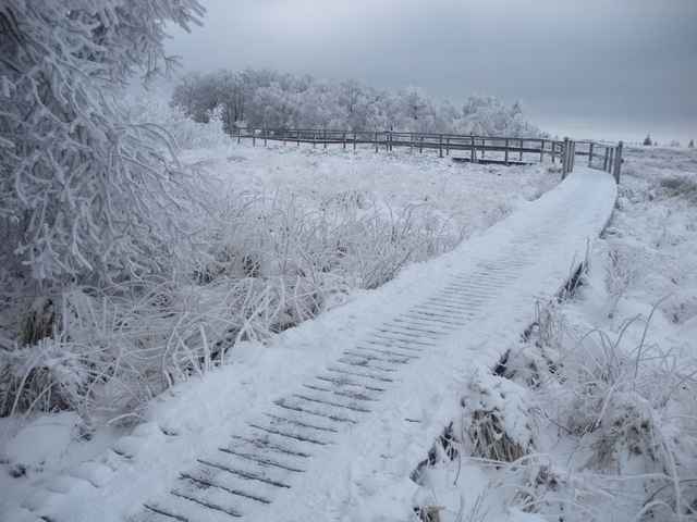 Vlonderpad door de berijpte en besneeuwde Fagne Wallonne in de Hoge Venen