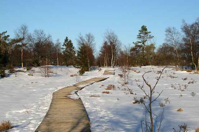 Vlonderpad door de besneeuwde Grande Fagne bij Xhoffraix