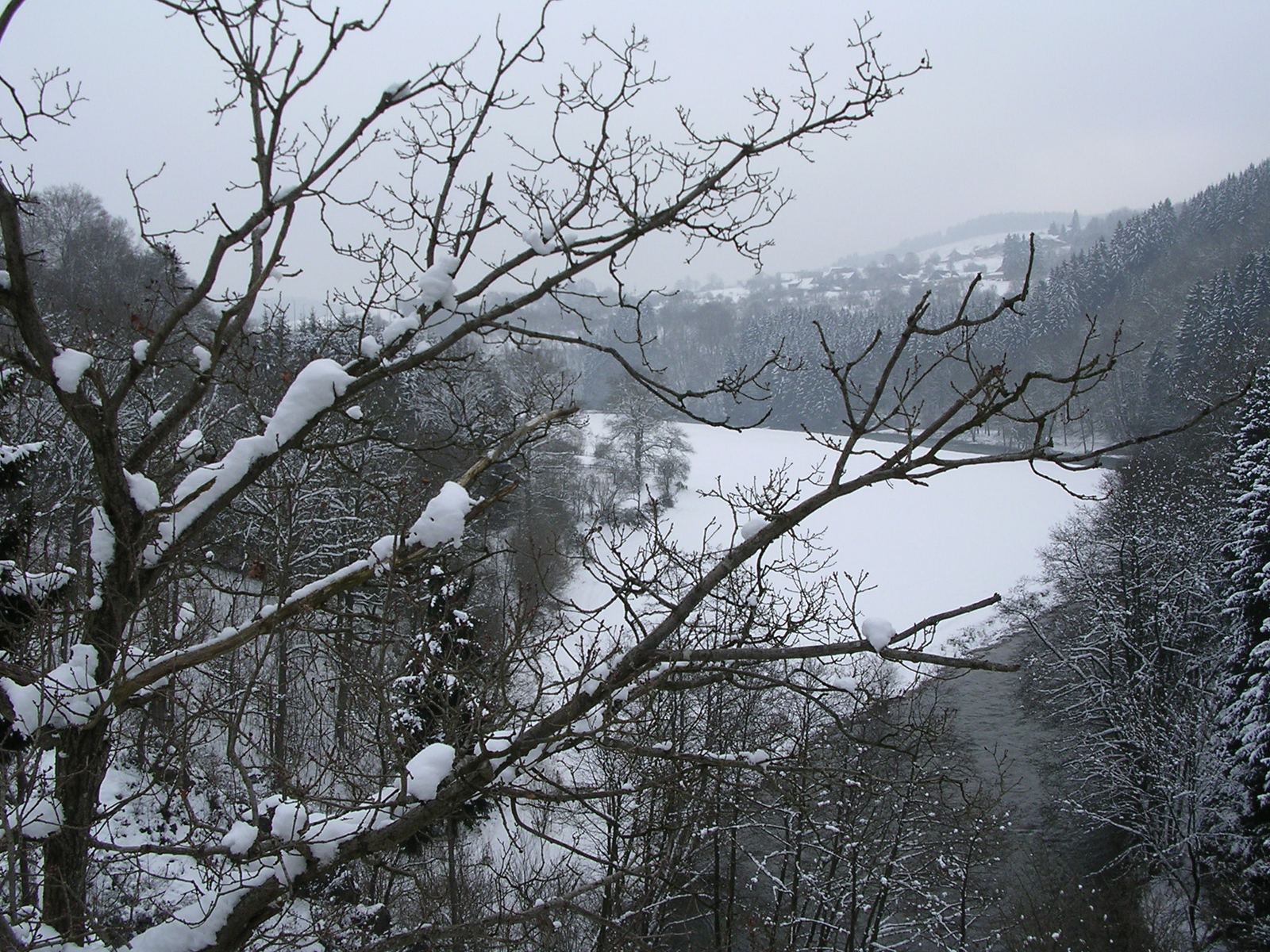 Besneeuwde bomen bij de Rocher de Warche, met uitzicht over het dal bij Malmedy