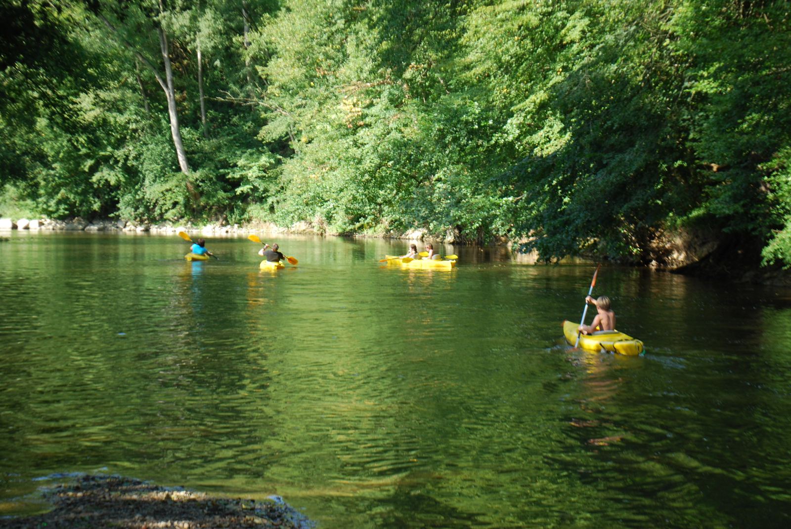 Kajakkers op de Ourthe tussen Durbuy en Barvaux, tussen de groene oevers