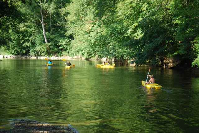 Padlere på Ourthe mellom Durbuy og Barvaux, mellom grønne elvebredder