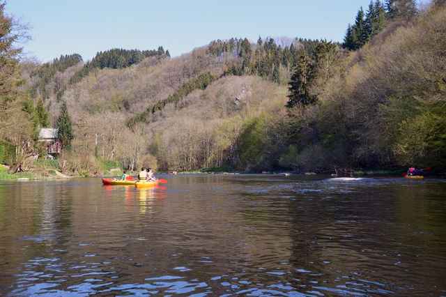 Padlere på den rolige Ourthe mellom Nisramont og La Roche-en-Ardenne