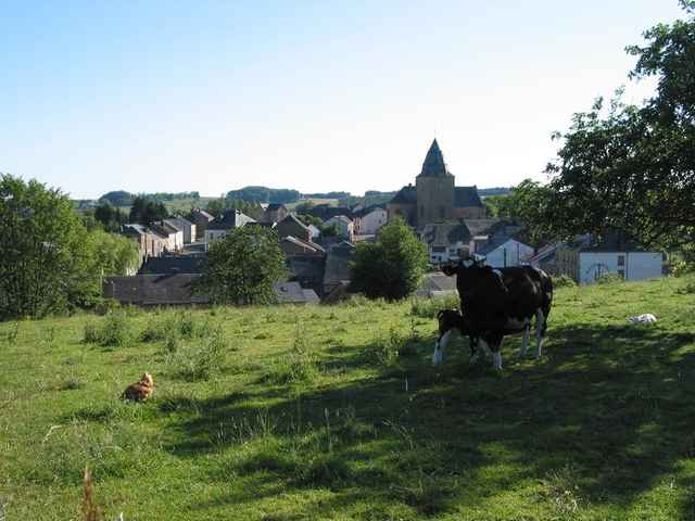 Weiden en het dorp Sainte-Cécile (Florenville)